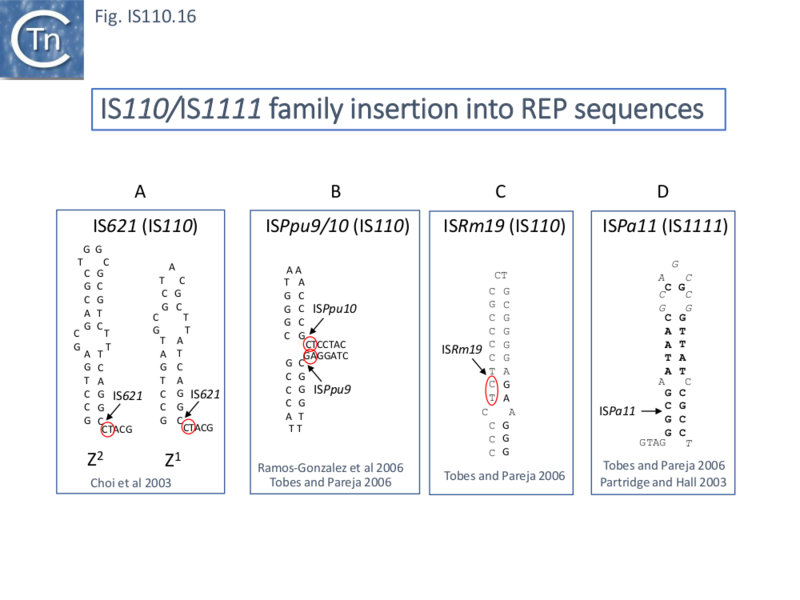 File:IS110.16.png