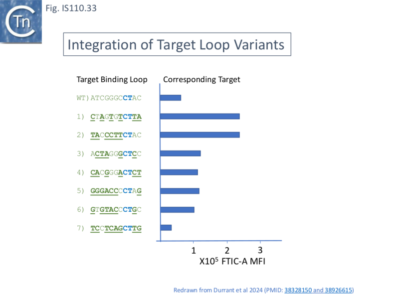 File:IS110.33.png