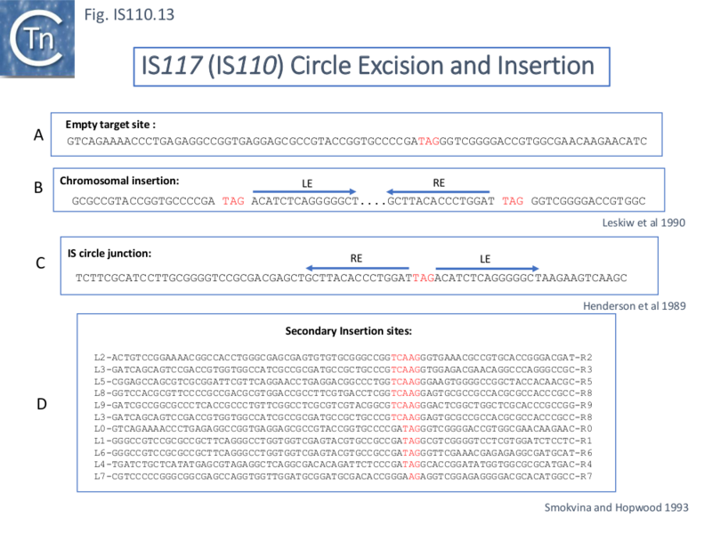 File:IS110.13.png