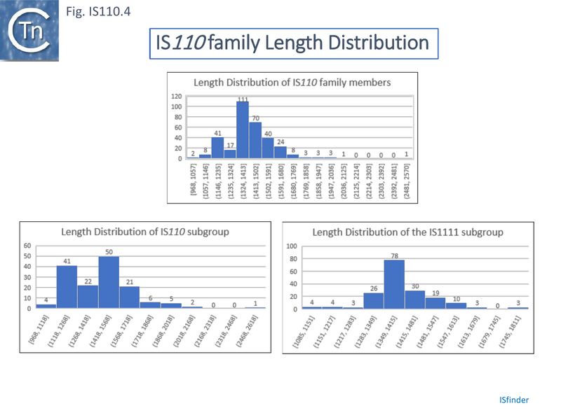 File:IS110.4.png