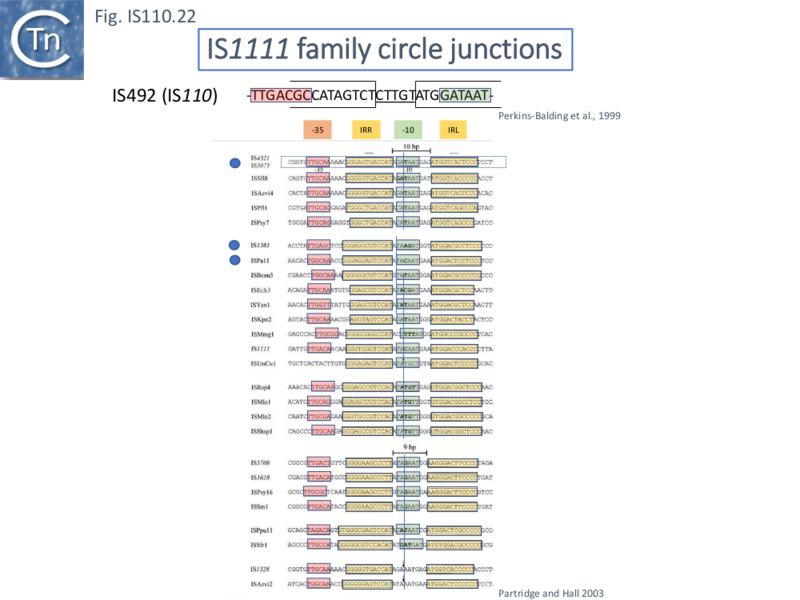 File:IS110.22.png