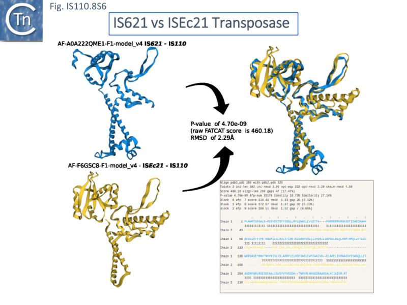 File:IS110.8S6.png