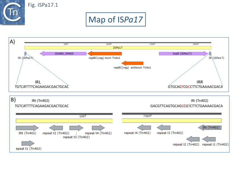 File:ISPa17-fig1.png