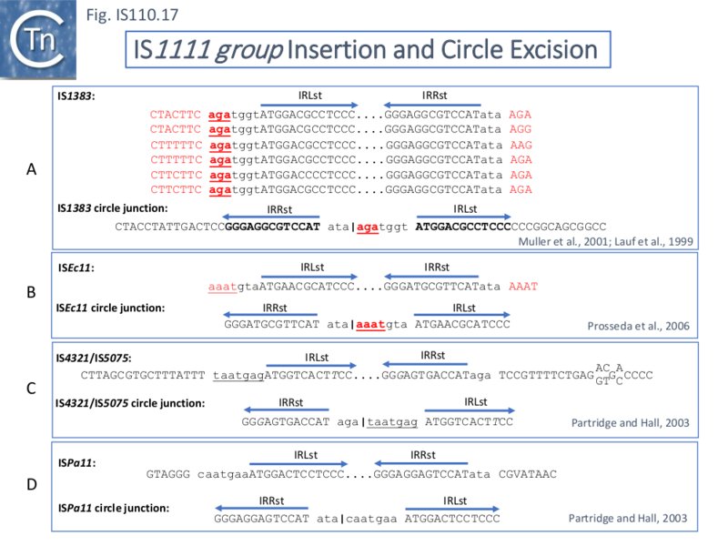 File:IS110.17.png