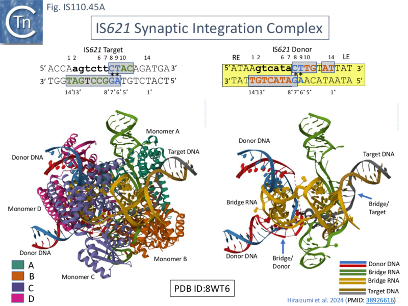 File:IS110.45A.png