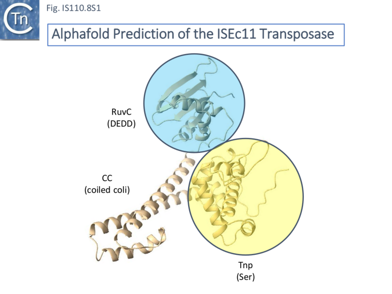 File:IS110.8S1.png
