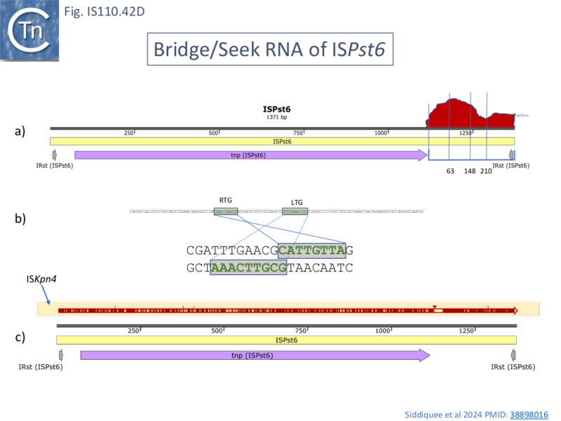 File:IS110.42D.png