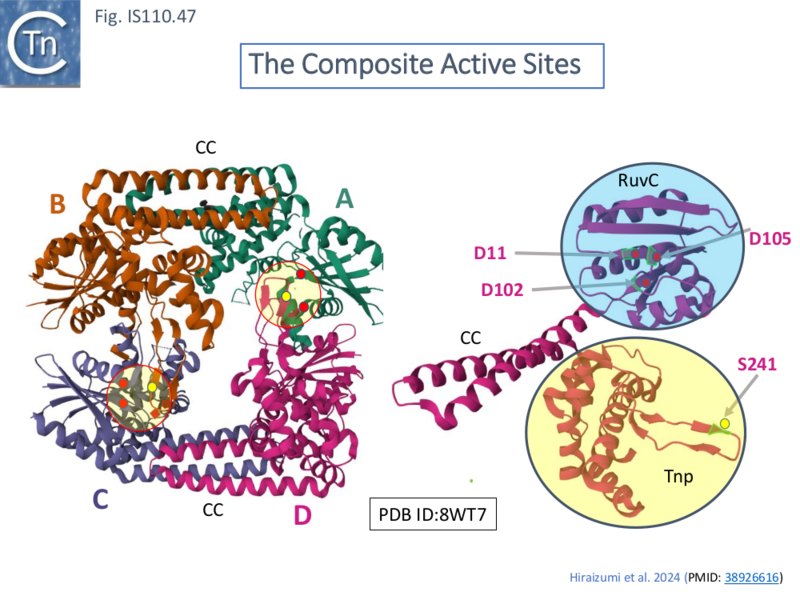 File:IS110.47.png