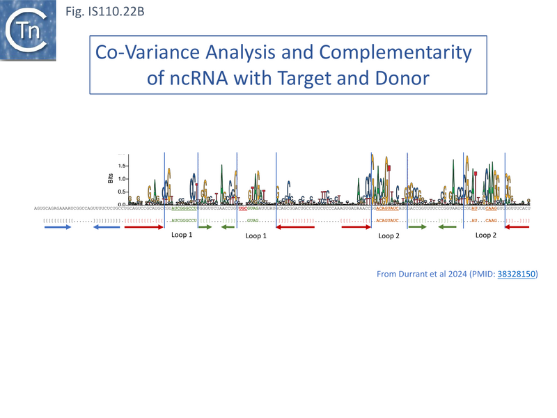 File:IS110.22B.png