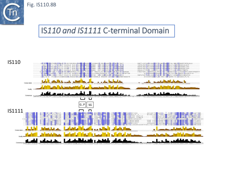 File:IS110.8b.png