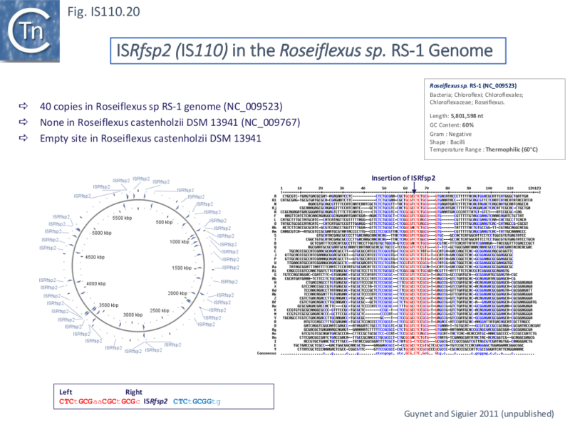 File:IS110.20.png