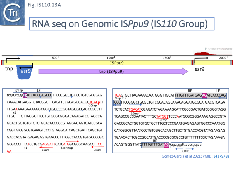 File:IS110.23A.png