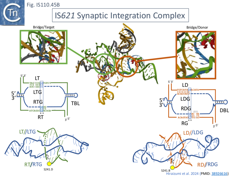 File:IS110.45B.png