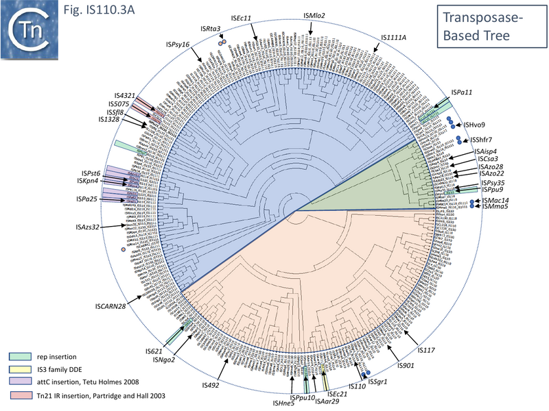File:IS110.3A.png