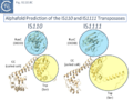 Thumbnail for version as of 11:27, 13 May 2025