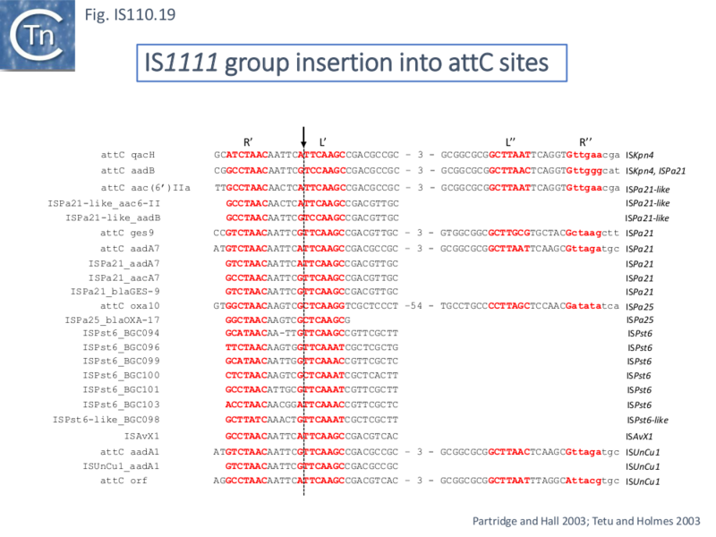 File:IS110.19.png