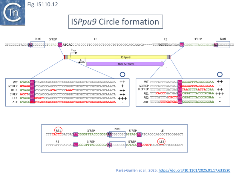 File:IS110.12.png