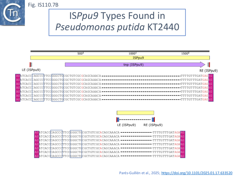 File:IS110.7b.png