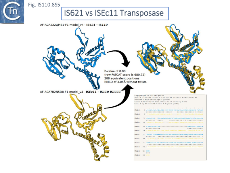 File:IS110.8S5.png