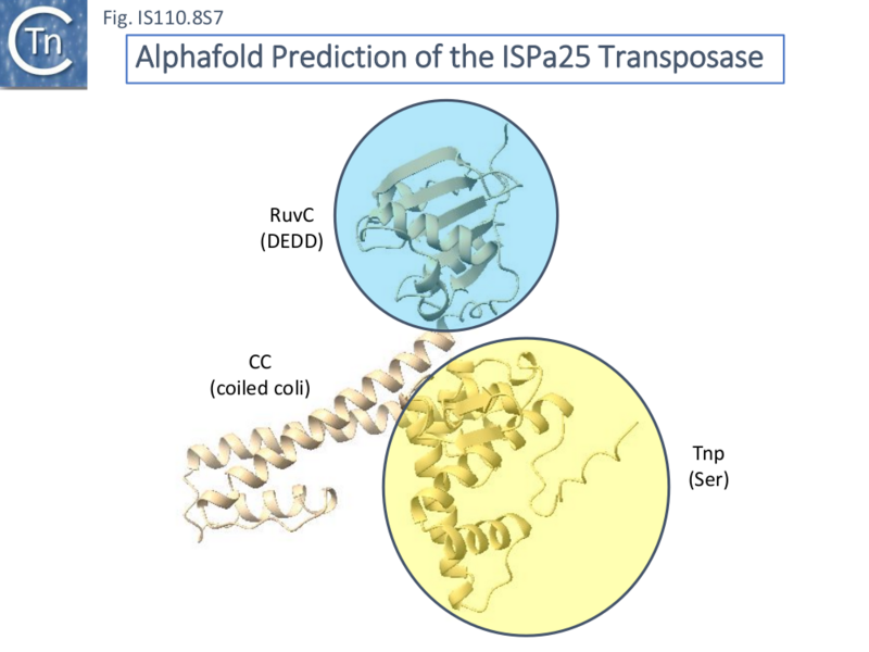 File:IS110.8S7.png
