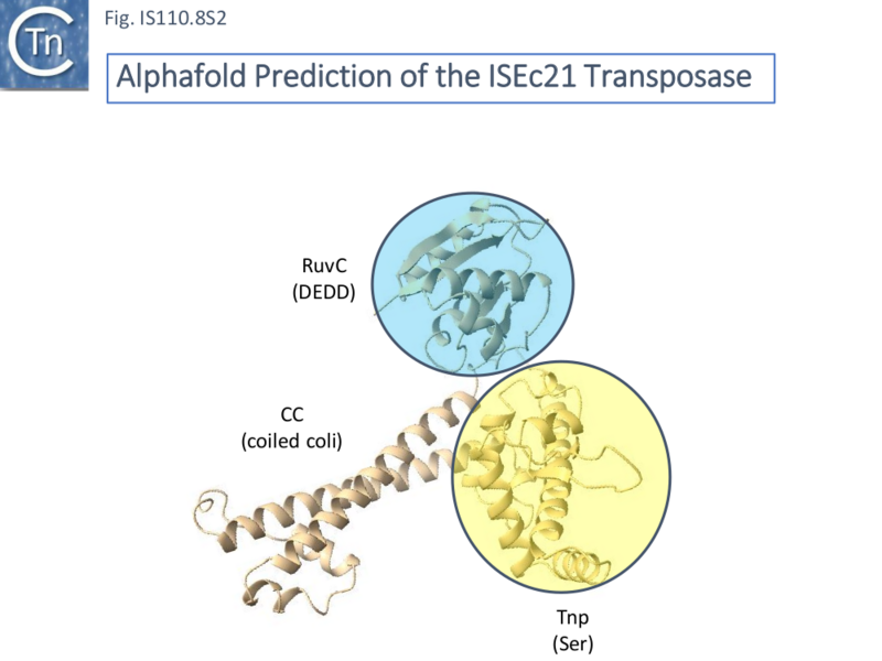 File:IS110.8S2.png