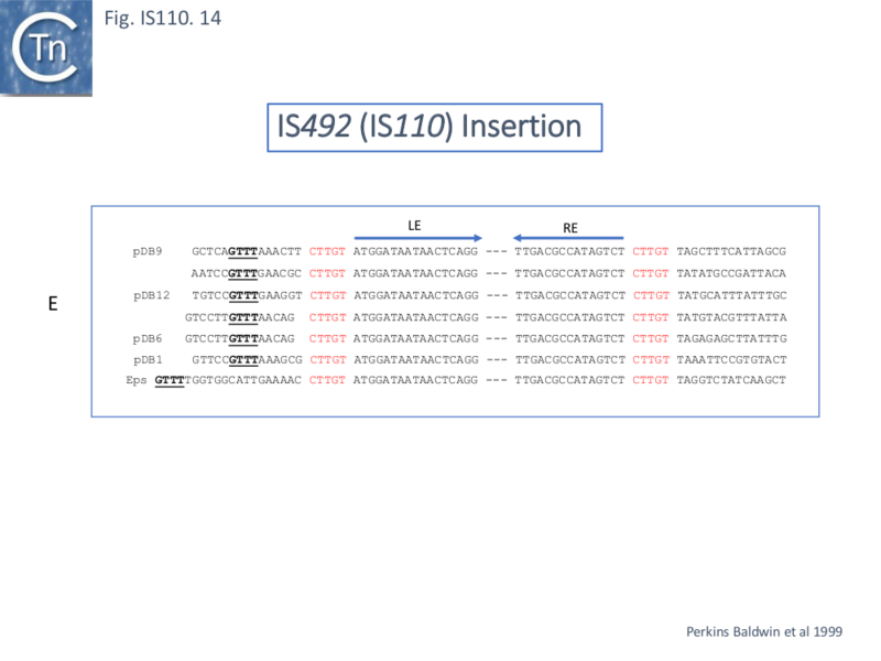 File:IS110.14b.png