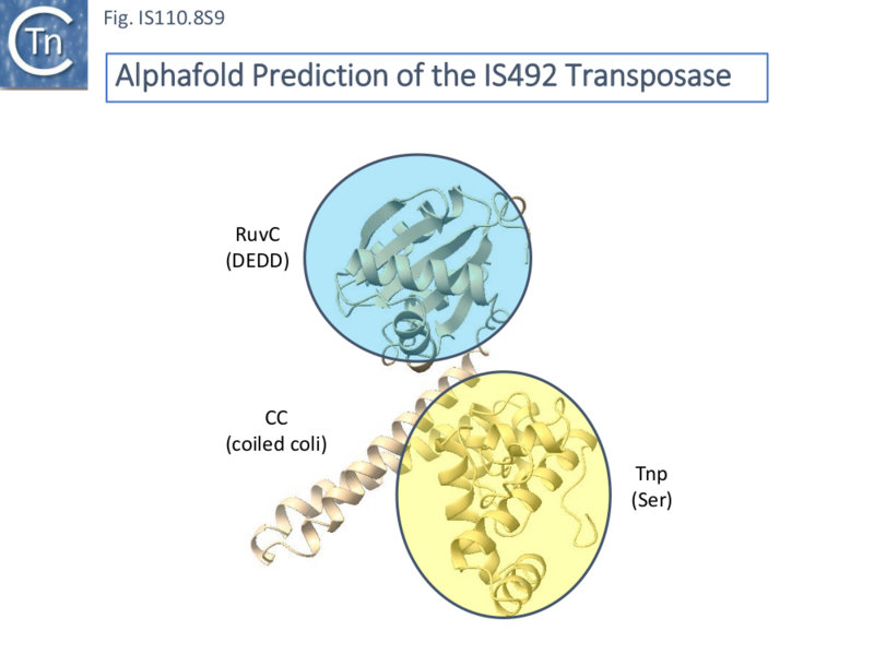 File:IS110.8S9.png