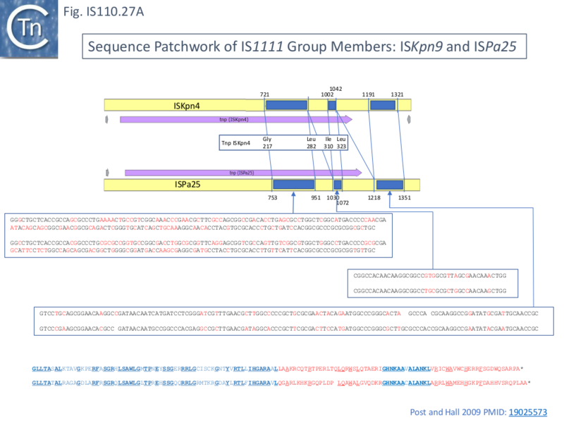 File:IS110.27A.png