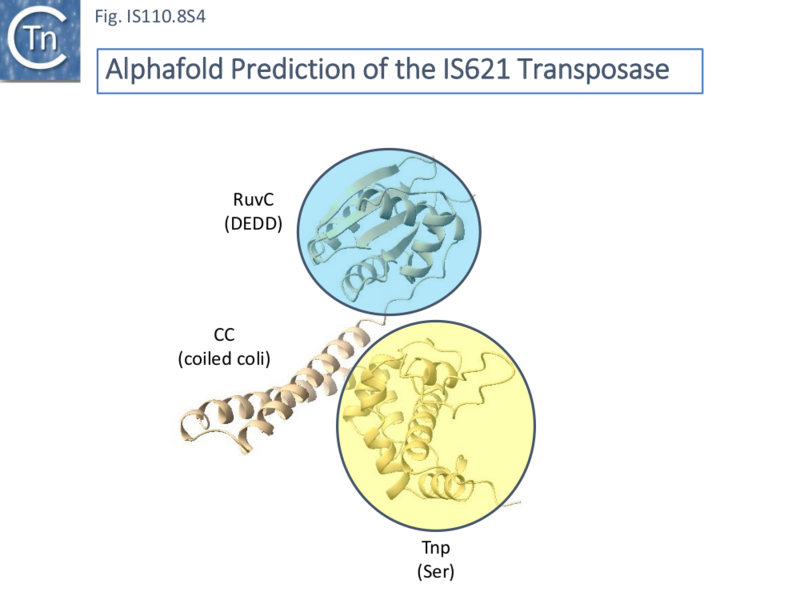File:IS110.8S4.png
