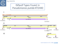 Thumbnail for version as of 11:00, 13 May 2025