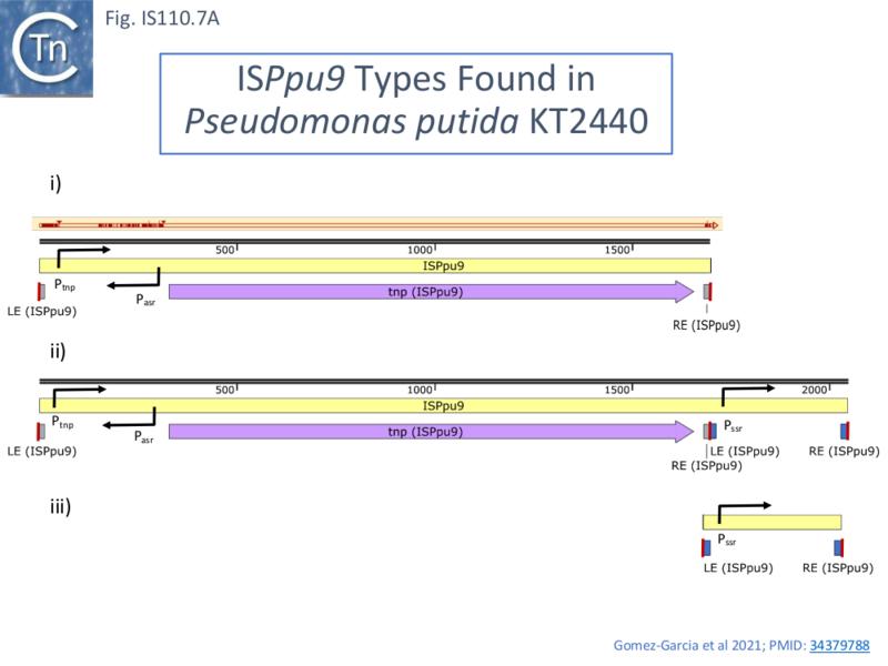 File:IS110.7a.png