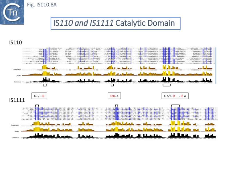 File:IS110.8a.png