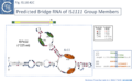 Thumbnail for version as of 21:46, 13 May 2025