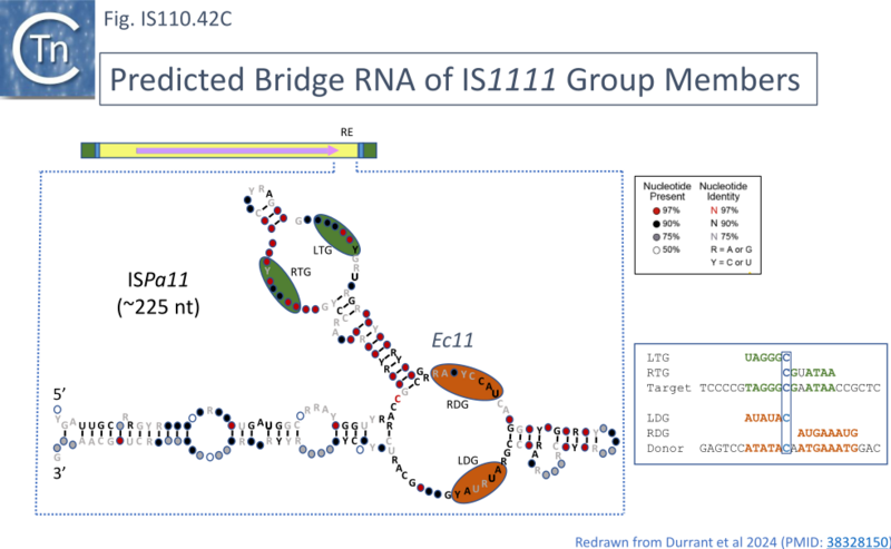 File:IS110.42C.png