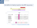 Thumbnail for version as of 17:46, 13 May 2025