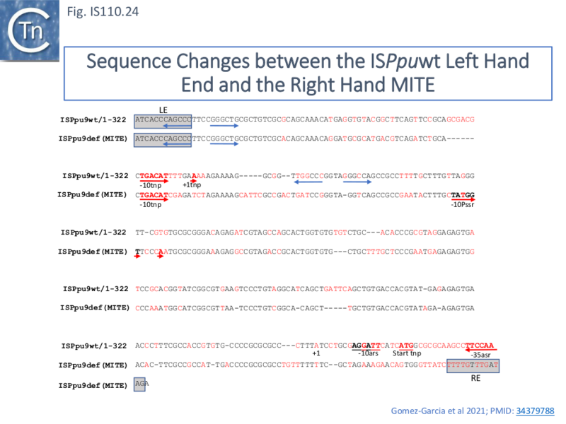 File:IS110.24.png