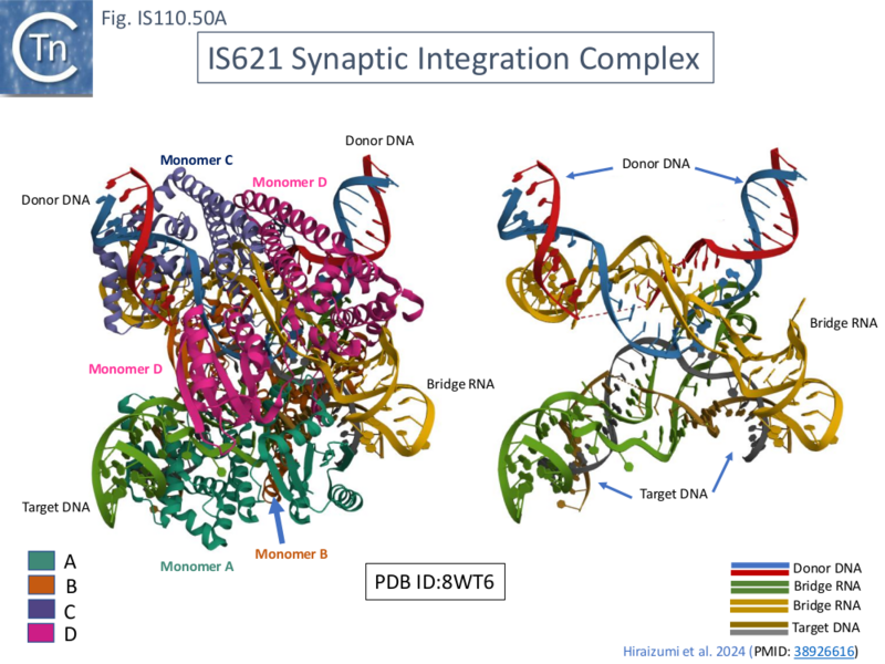 File:IS110.50A.png
