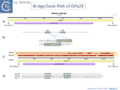 Thumbnail for version as of 21:46, 13 May 2025