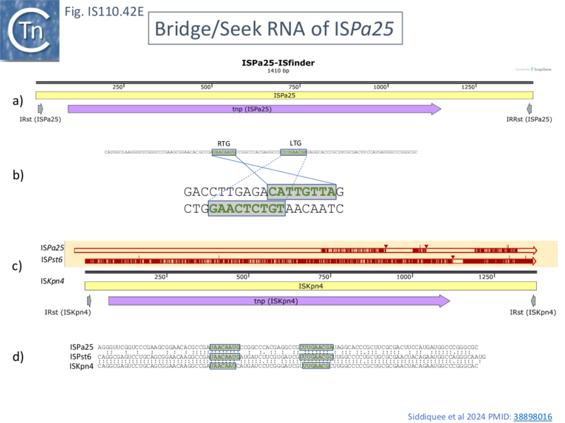 File:IS110.42E.png