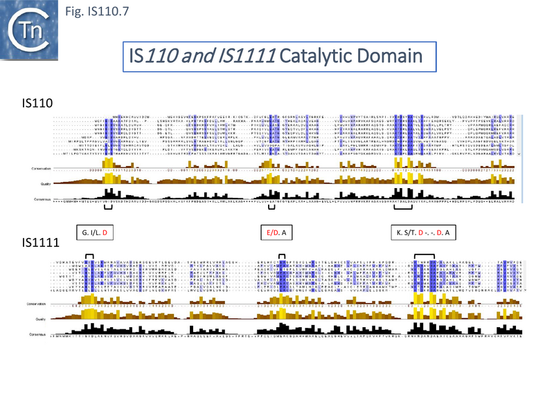 File:IS110.7-new.png