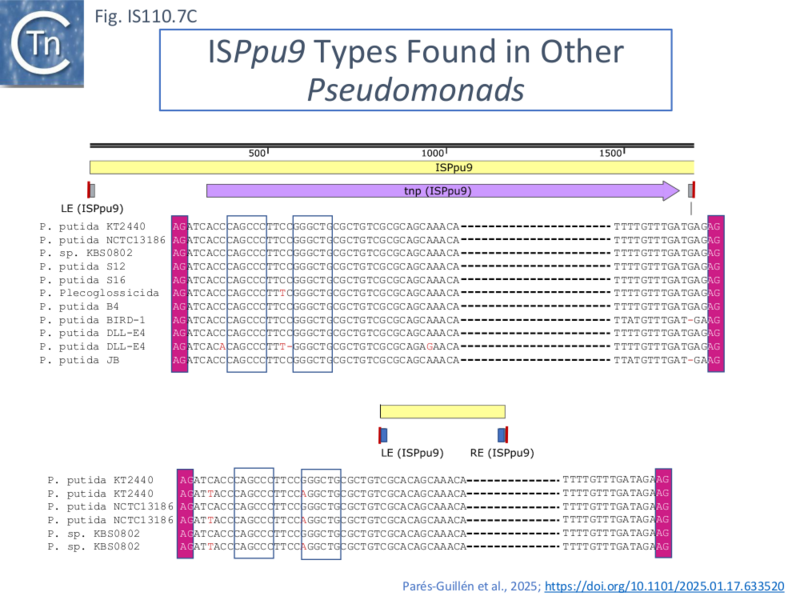 File:IS110.7c.png