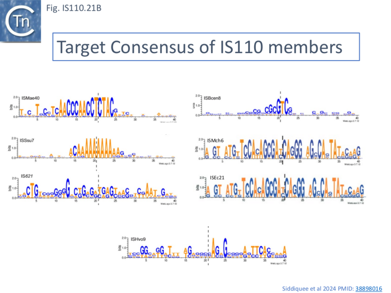 File:IS110.21b.png