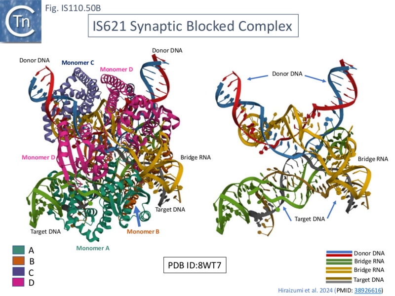 File:IS110.50B.png